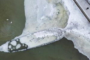Un navire de guerre suédois de 400 ans émerge alors que la mer Baltique atteint un niveau record bas