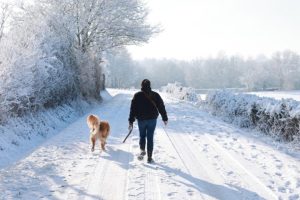 Neige à Paris et dans le Nord : alerte orange, trafic perturbé ce 15 février
