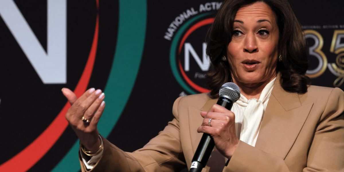 Kamala Harris vise la présidentielle de 2028 malgré les doutes au sein du Parti démocrate