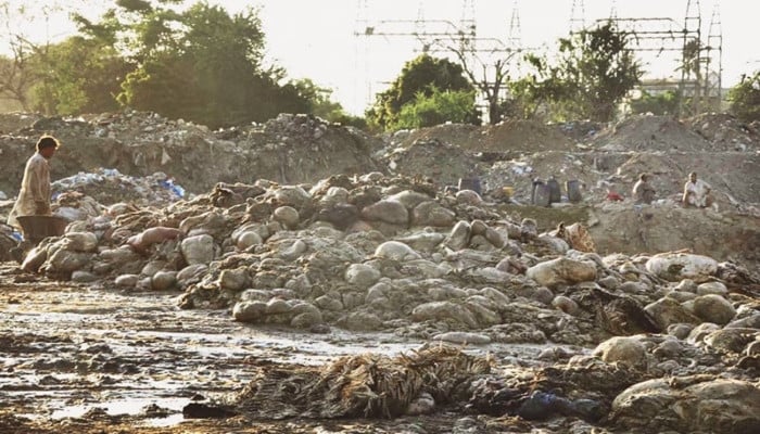 Eid ul Adha 2025 : amende de 50 000 roupies au Pendjab pour dépôt illégal de déchets animaux