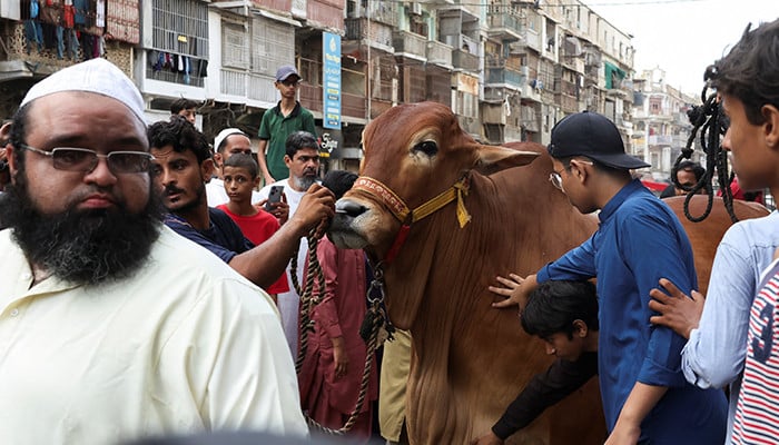 Eid ul Adha au Pakistan : Prières pour la Paix au Moyen-Orient et Unité Nationale