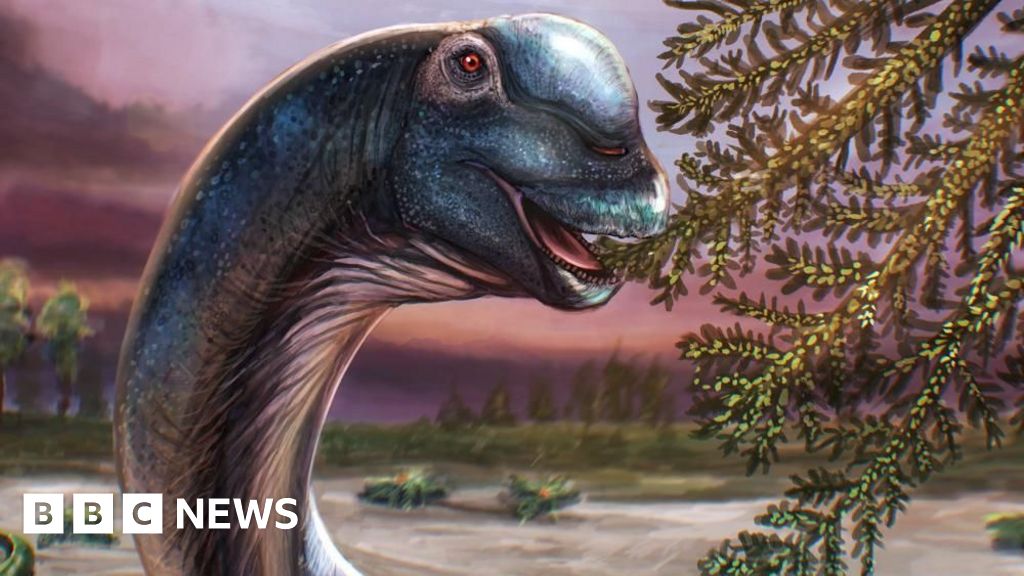 Nagatitan chaiyaphumensis : Le plus grand dinosaure d’Asie du Sud-Est découvert en Thaïlande