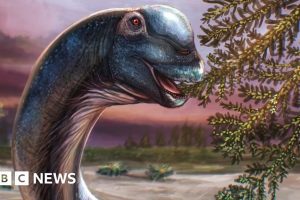 Nagatitan chaiyaphumensis : Le plus grand dinosaure jamais découvert en Asie du Sud-Est identifié en Thaïlande