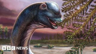 Nagatitan chaiyaphumensis : Le plus grand dinosaure jamais découvert en Asie du Sud-Est identifié en Thaïlande