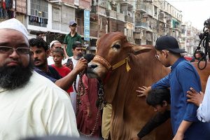 Eid ul Adha au Pakistan : Prières pour la Paix au Moyen-Orient et Unité Nationale