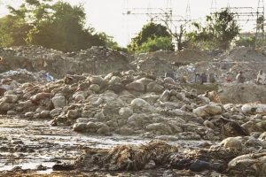 Eid ul Adha 2025 : amende de 50 000 roupies au Pendjab pour dépôt illégal de déchets animaux