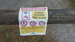 Alerte Rouge Feux de Forêt : Le Sud de la France en État d’Urgence Maximale