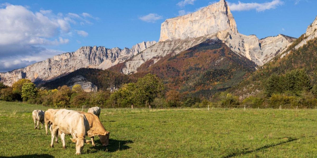 Six escapades automnales en France accessibles sans voiture