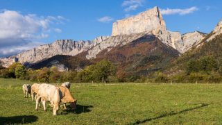 Six escapades automnales en France accessibles sans voiture