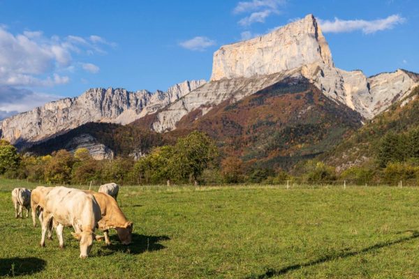 Six escapades automnales en France accessibles sans voiture