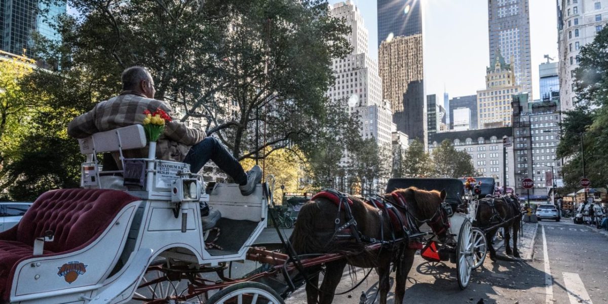 New York : les calèches de Central Park interdites à partir de 2028