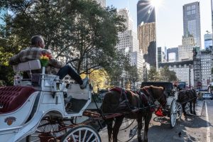 New York : les calèches de Central Park interdites à partir de 2028