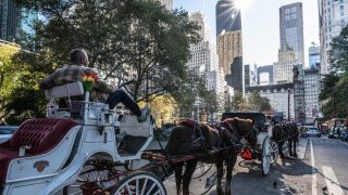 New York : les calèches de Central Park interdites à partir de 2028